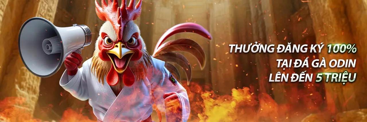 Ưu đãi đăng ký thành viên mới độc quyền tại Kubet com vn Ku Casino